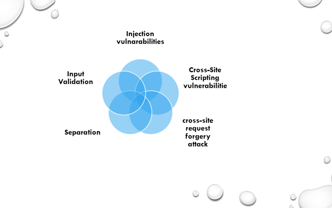 The principle of secure software development